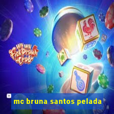 mc bruna santos pelada